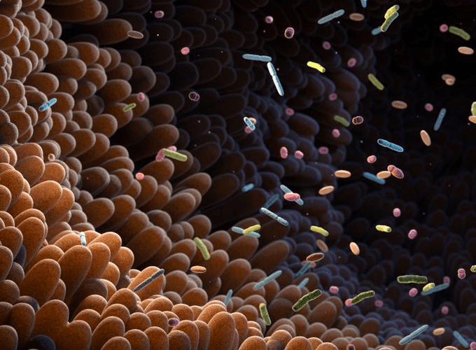 featured_hucaf78c3434990caacbcecf7cf758b91d_1678954_680x500_fill_q90_lanczos_smart1_3